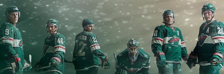 wildrosemarie's profile banner image
