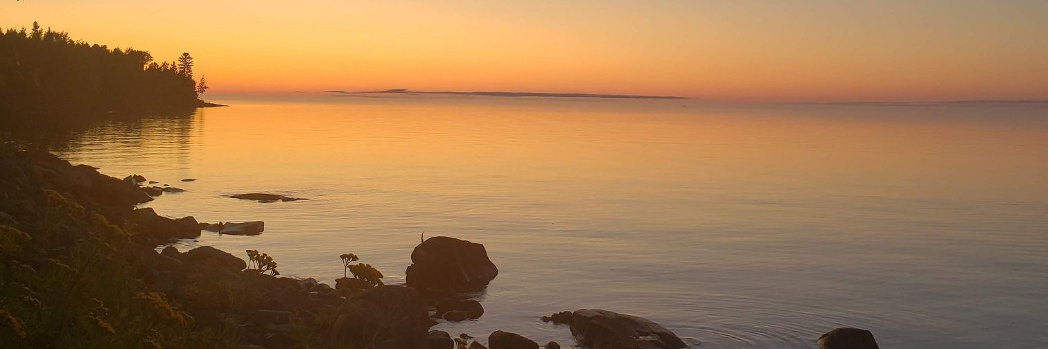 KrisCollingMD's profile banner image