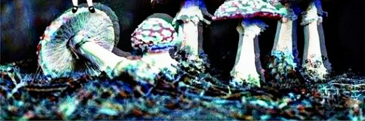 doguddemir's profile banner image