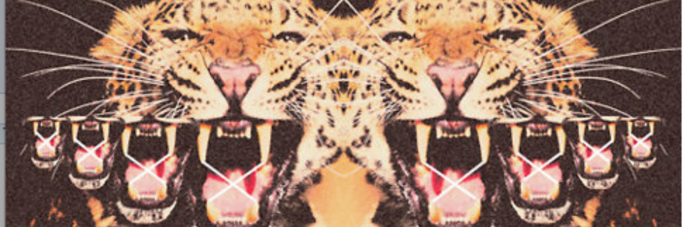 Leah Snider banner