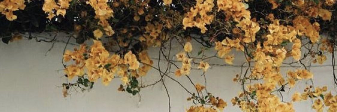 laineymarieee's profile banner image