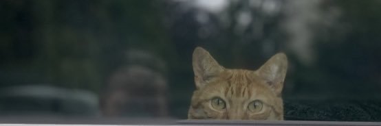 bigierosix's profile banner image