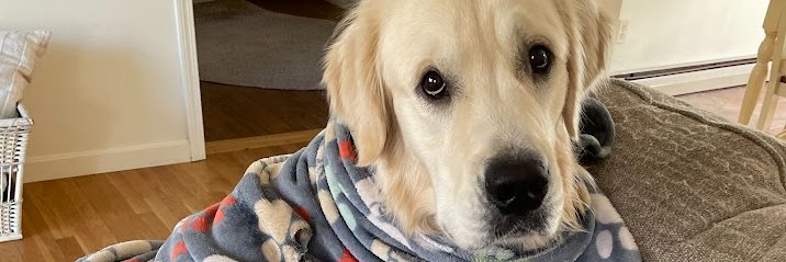 Ol_Judge's profile banner image