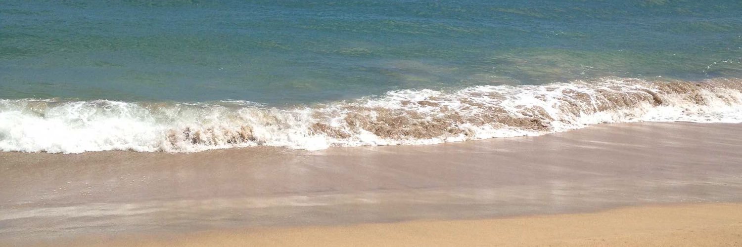 KaylaBrewitz's profile banner image