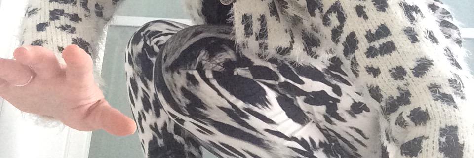 djFUNKYLEOPARD's profile banner image