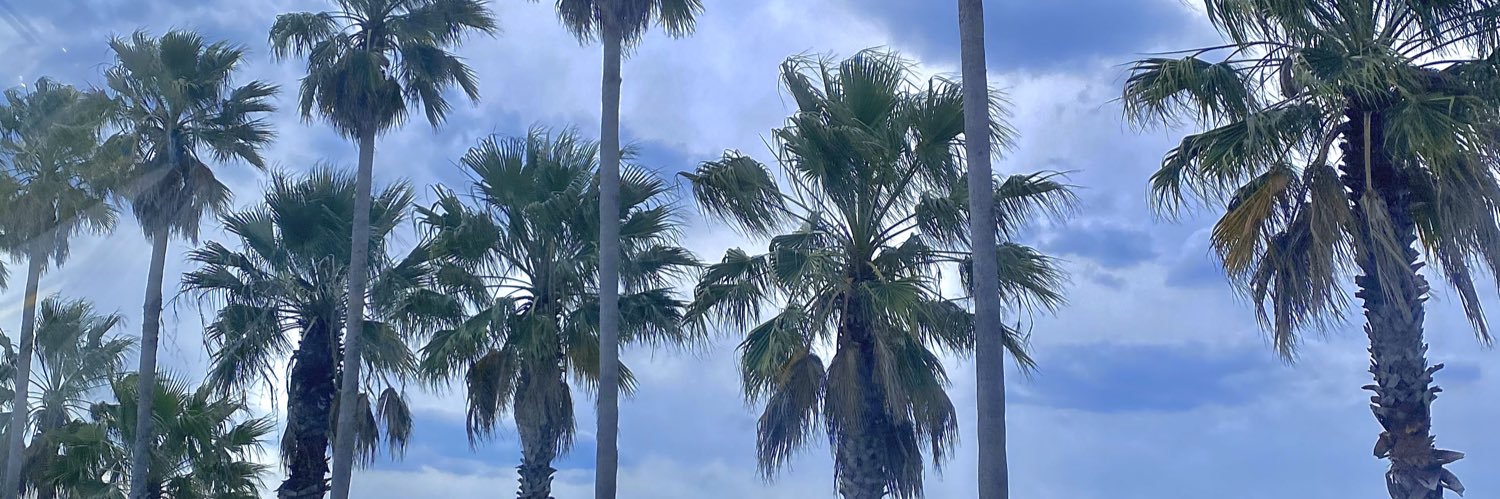 Chyleej's profile banner image
