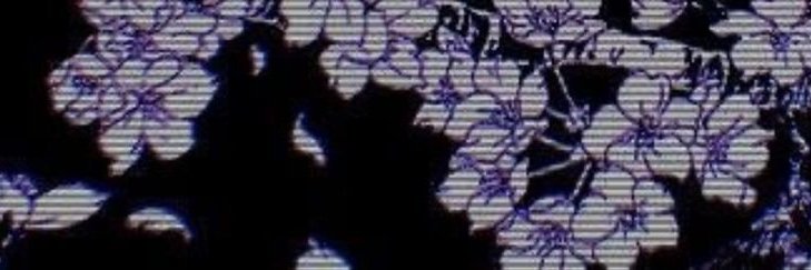 sailor recruiter ✨ banner