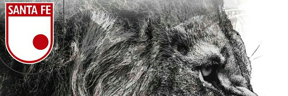 Lorefj164's profile banner image
