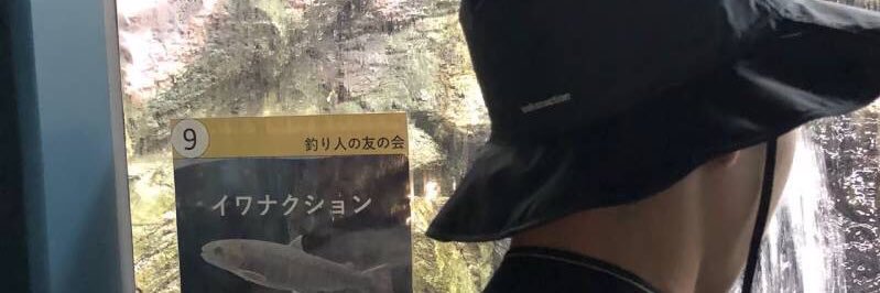 Cat_Fishction22's profile banner image