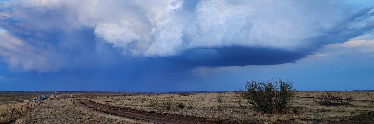 Storm Search 7 banner