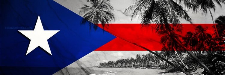 MegRon428's profile banner image