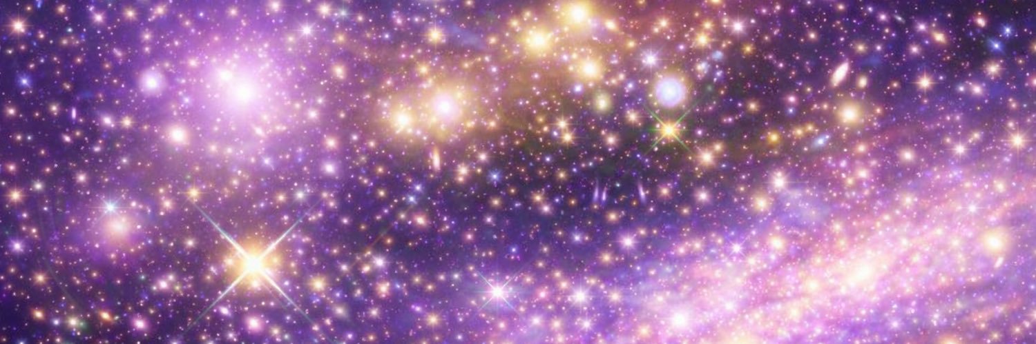 roseroselovers's profile banner image