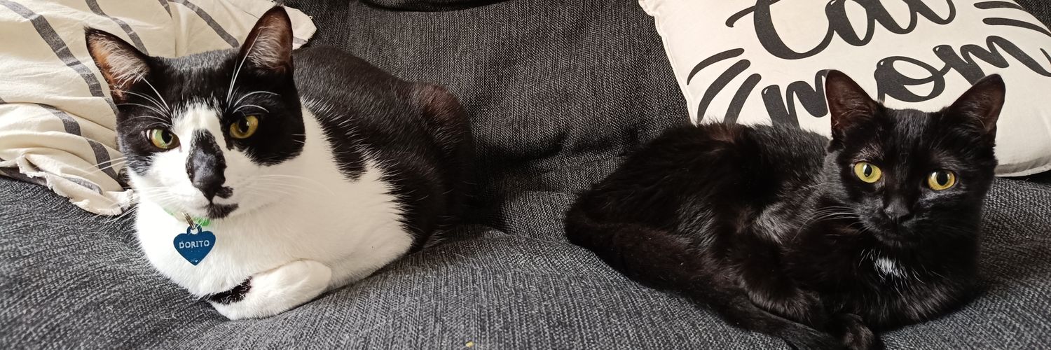 angedeangela's profile banner image