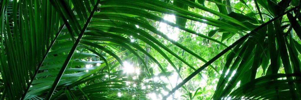 RaachelOfficial's profile banner image