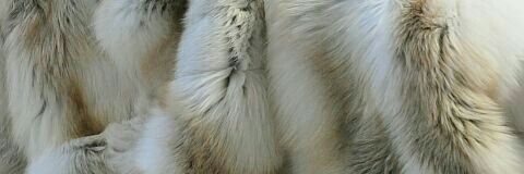 natka banner