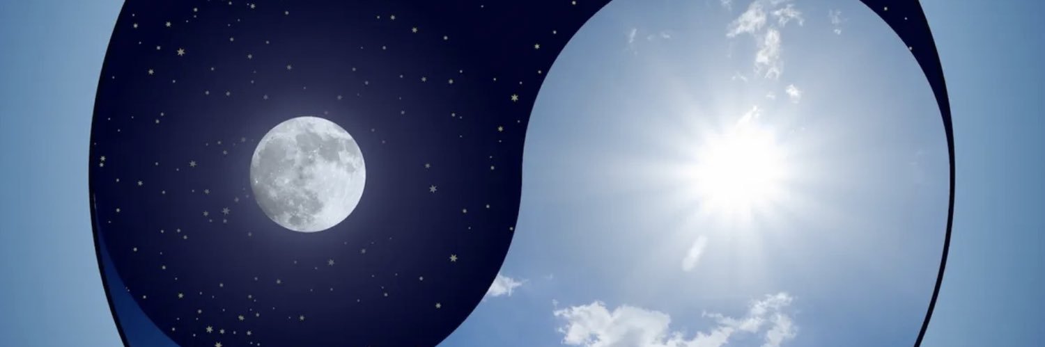 Steve Pariseau banner