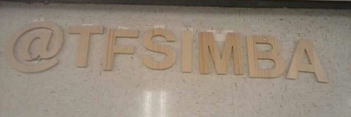 TFSimba's profile banner image