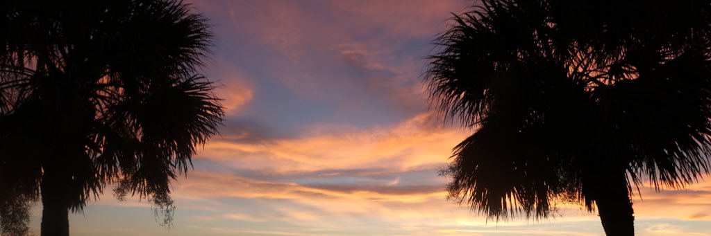 brockrichard_'s profile banner image