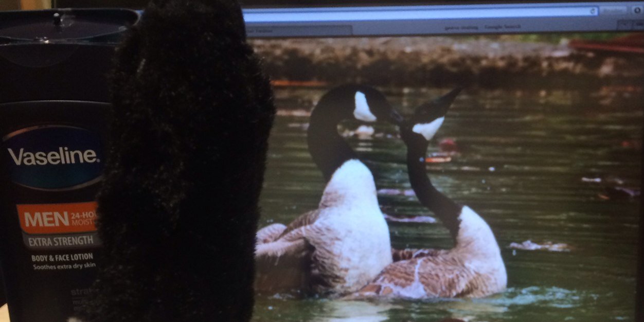DaRealGreyGoose's profile banner image