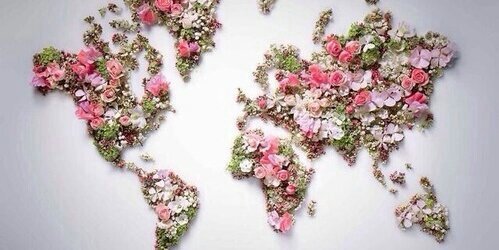 inkywildflower's profile banner image