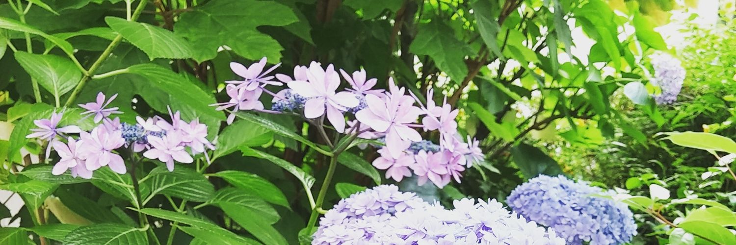natuki_rido's profile banner image