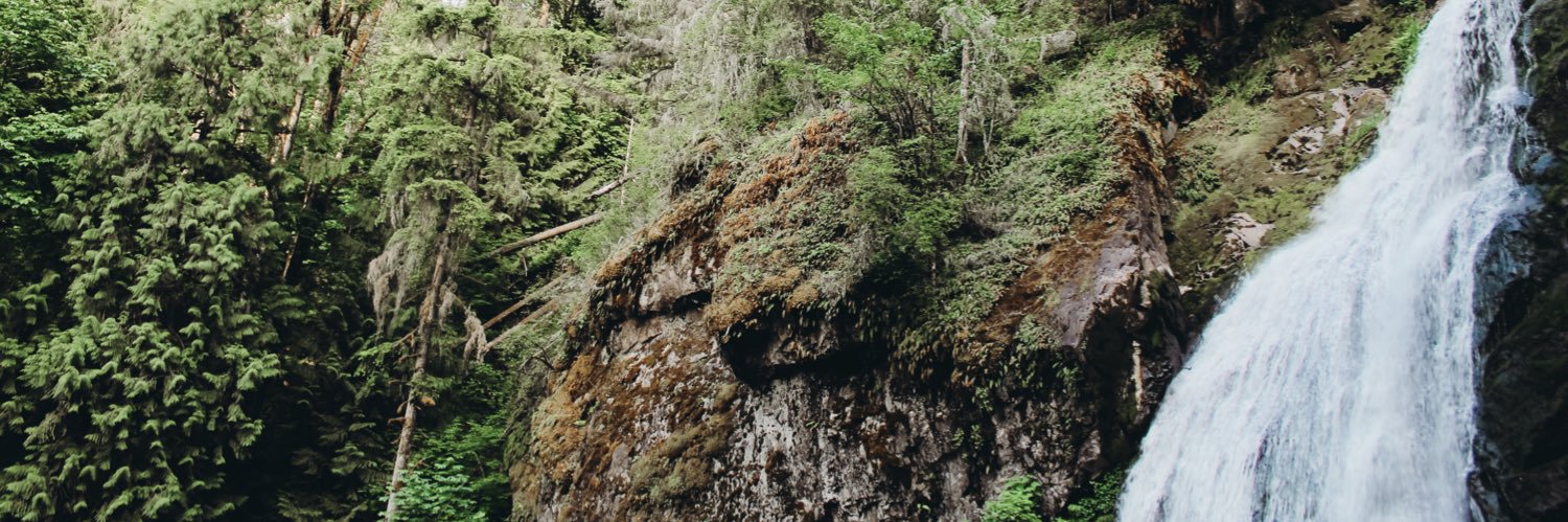 kayleewebb_'s profile banner image