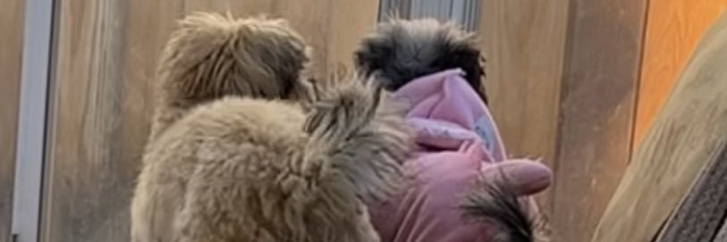 Callmebert__'s profile banner image
