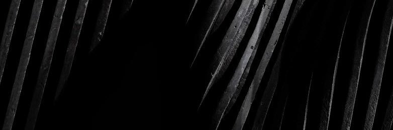 mTuran_11's profile banner image
