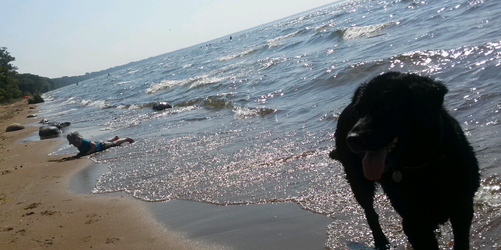 SarahTasa's profile banner image