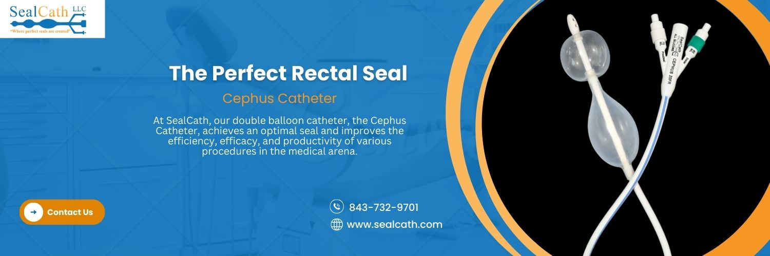 SealCath's profile banner image