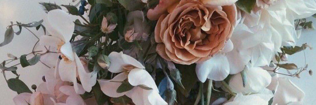 ibtsyy's profile banner image