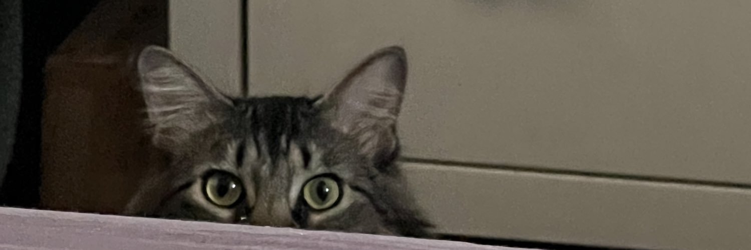 haley bratzina banner