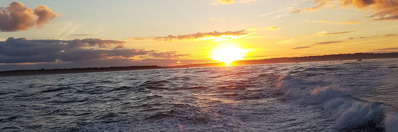 Nicolas de Trogoff banner