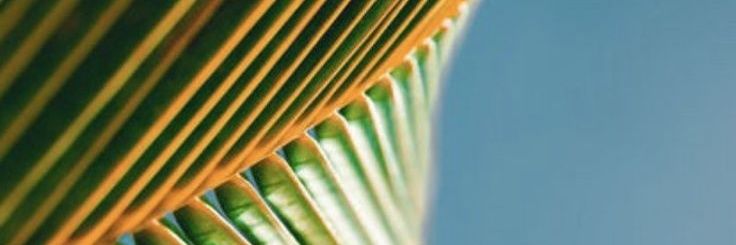 mkimberli's profile banner image