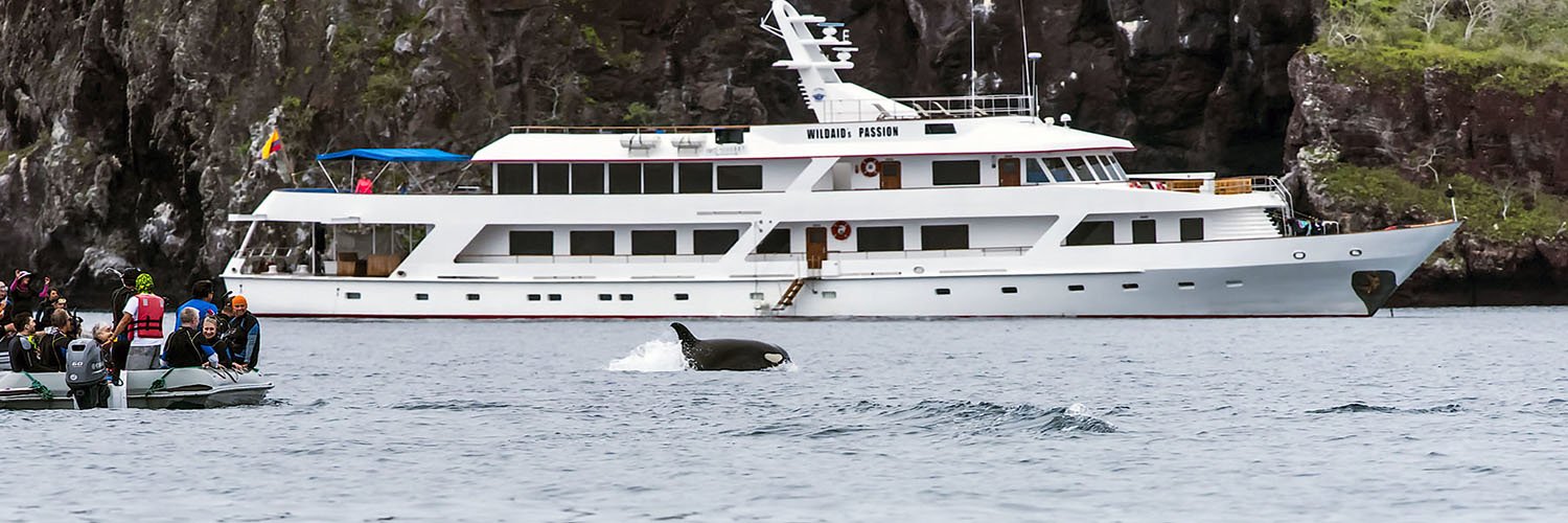 Andando Tours banner