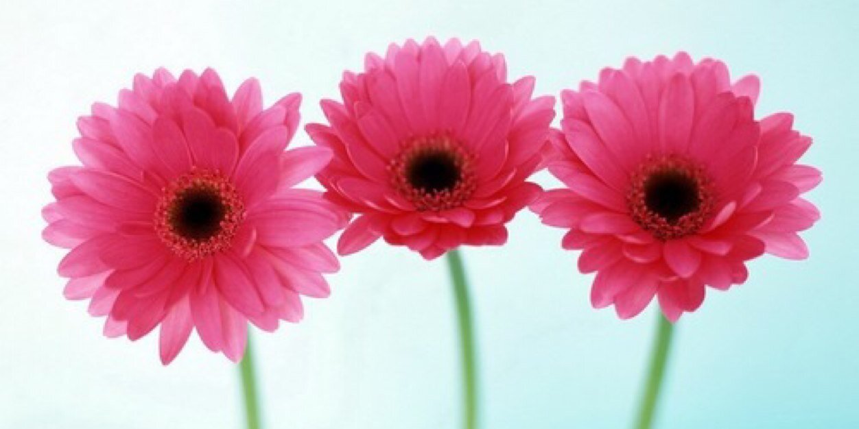 TamaraBouter's profile banner image