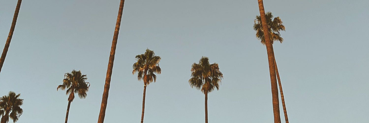 simonekingg's profile banner image