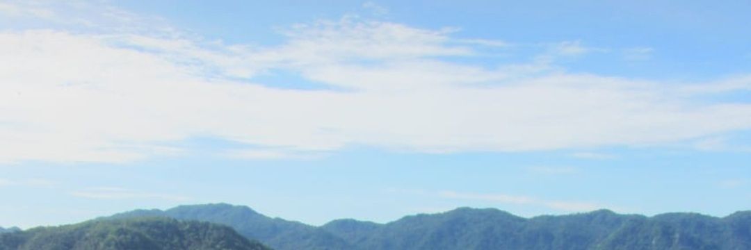 paac000's profile banner image