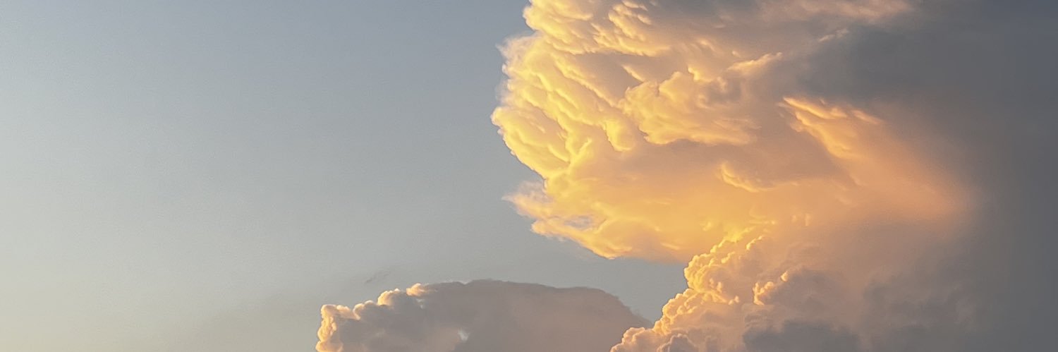 ecereghetti1's profile banner image