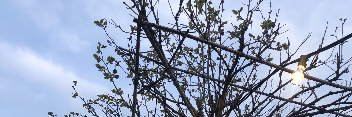 nutties5's profile banner image