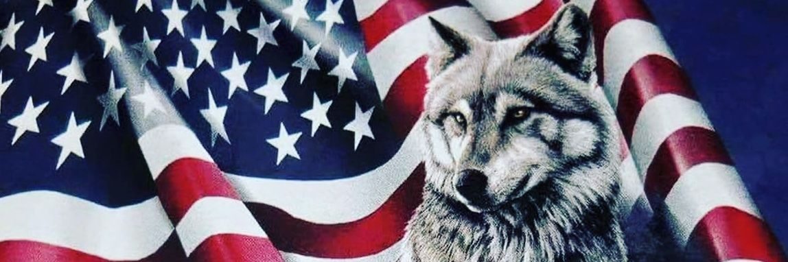 AmericanWolf01's profile banner image