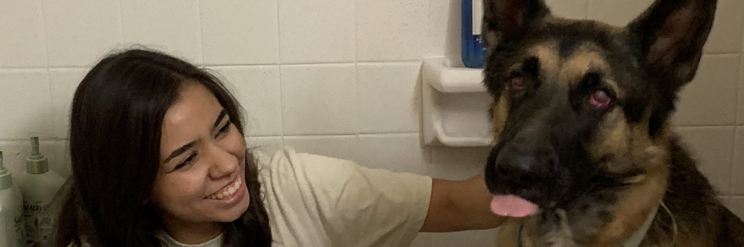 mini_mitch's profile banner image