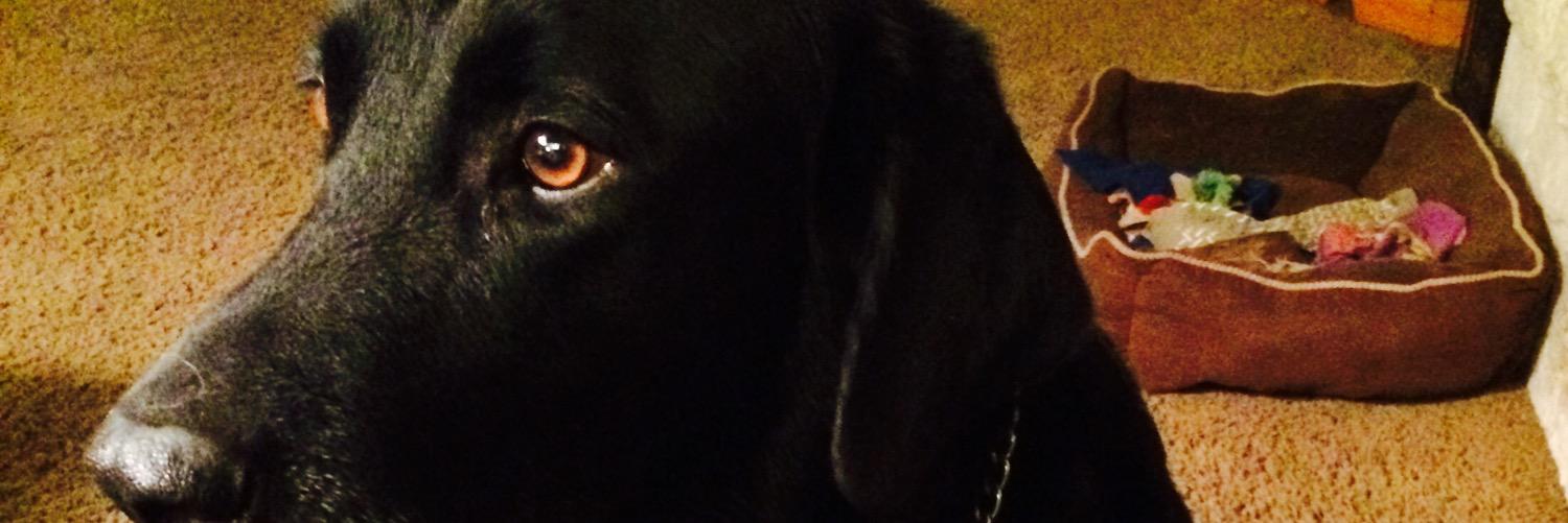 rockyjcheek's profile banner image