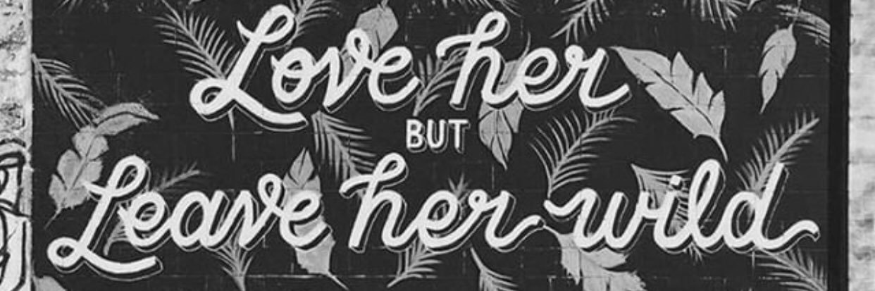 kimmmbeezy's profile banner image