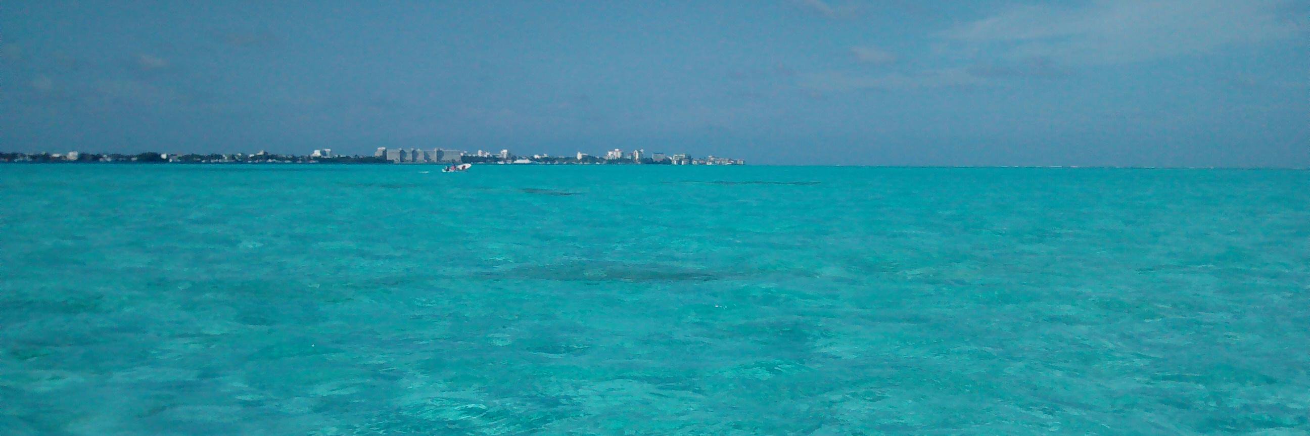L_DiVaio's profile banner image
