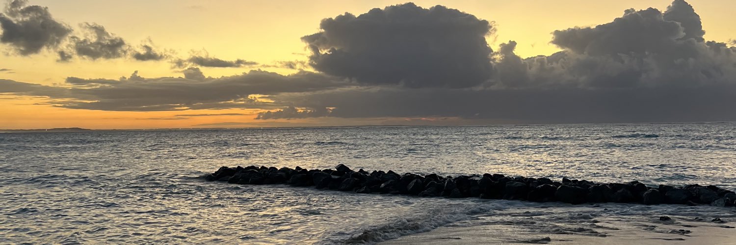 fpolicaro's profile banner image