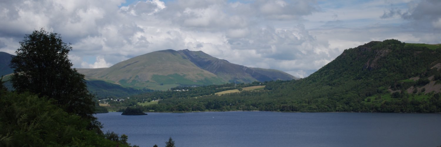 spicyyorks's profile banner image