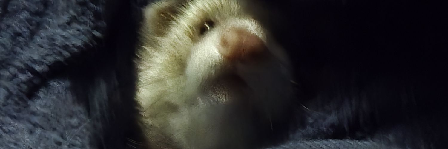 dwaynesw's profile banner image