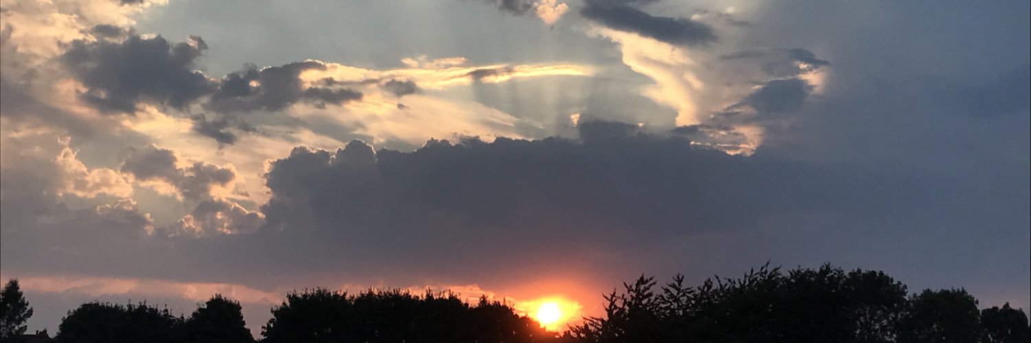 chloemfenton's profile banner image