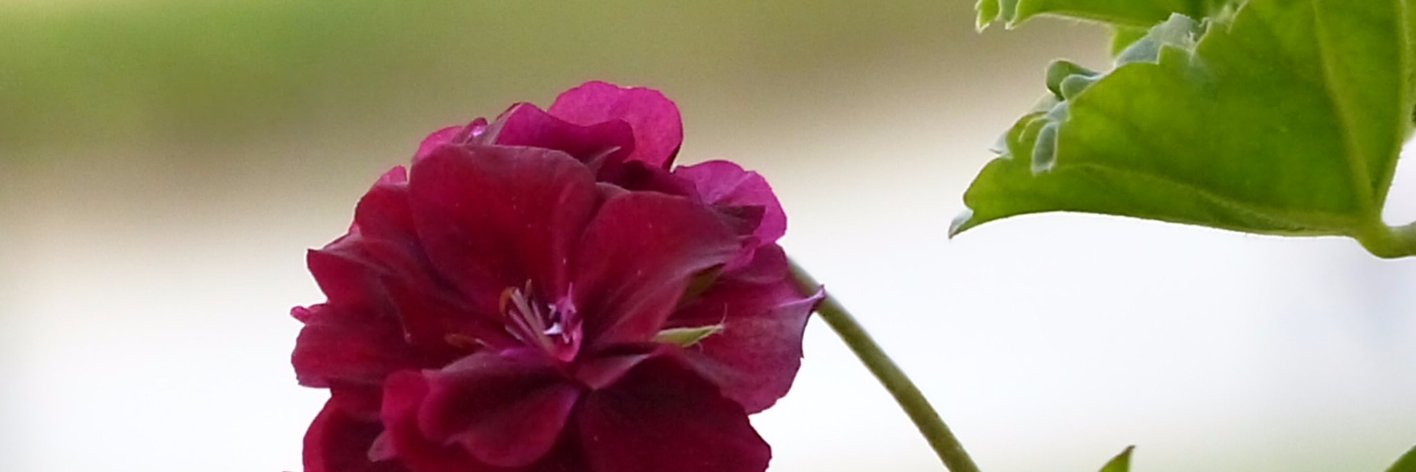 Artegestion's profile banner image